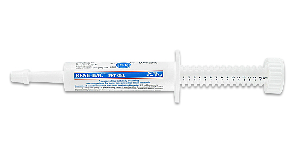 Benebac best sale for puppies